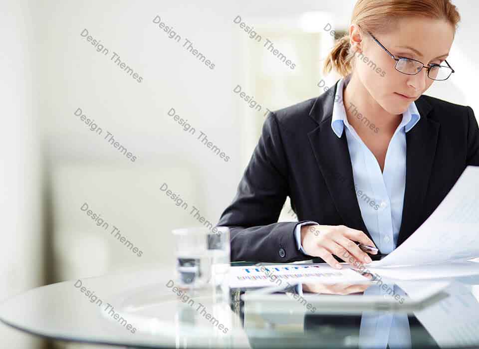 auditingcareer1
